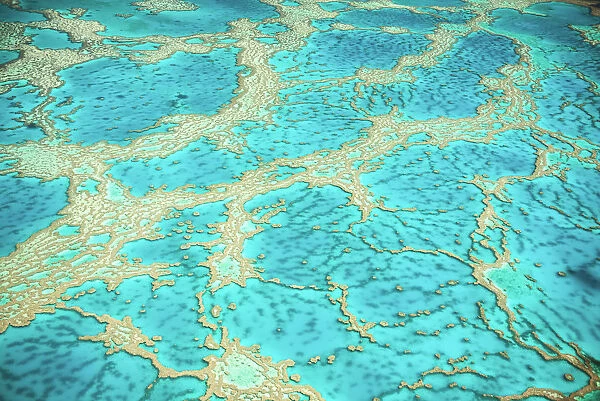 Great Barrier Reef, Queensland, Australia