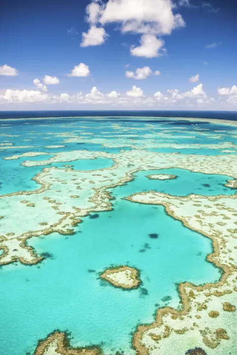 Framed Print : Great Barrier Reef, Queensland, Australia Framed Print : Great Barrier Reef, Queensland, Australia