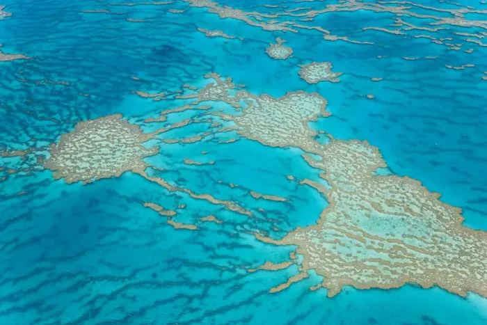 Framed Print : Great Barrier Reef, Queensland, Australia Framed Print : Great Barrier Reef, Queensland, Australia