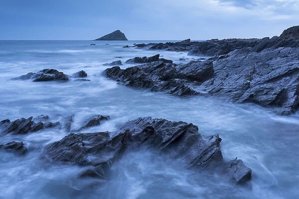 The Great Mewstone off the shore of Wembury Bay, South Hams, Devon, England. Spring