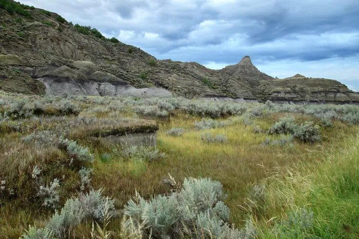 Framed Print : Great Plains, Montana, Eastern, Glendive, Makoshika State Park, Badlands