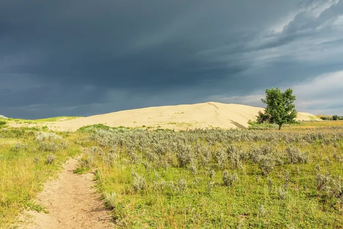 Framed Print : Great Sand Hills, Saskatchewan, Canada, North America