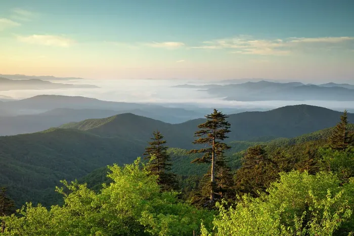 Framed Print : Great Smoky Mountains National Park, North Carolina, USA Framed Print : Great Smoky Mountains National Park, North Carolina, USA