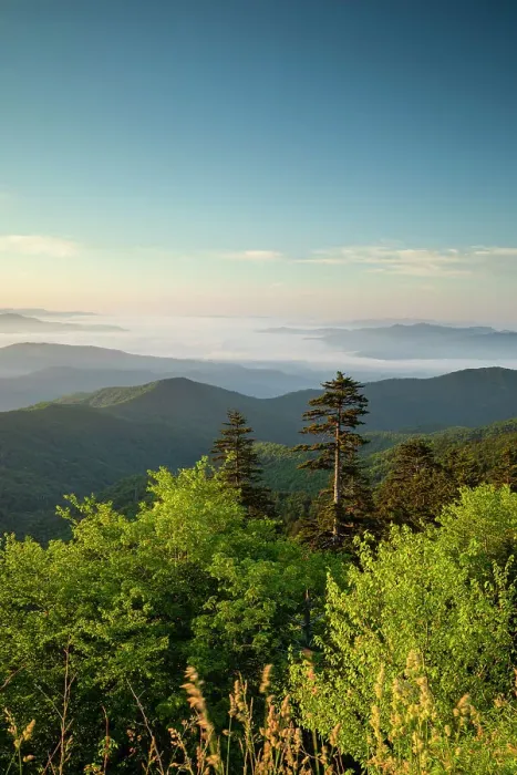 Framed Print : Great Smoky Mountains National Park, North Carolina, USA Framed Print : Great Smoky Mountains National Park, North Carolina, USA