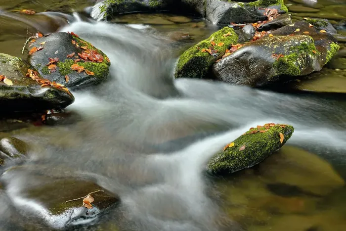 Framed Print : Great Smoky Mountains NP, Tennessee, USA Framed Print : Great Smoky Mountains NP, Tennessee, USA
