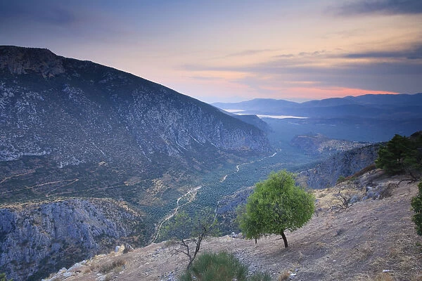 Greece, Delphi (UNESCO World Heritage Site), Valley View with Corinthian Gulf in the