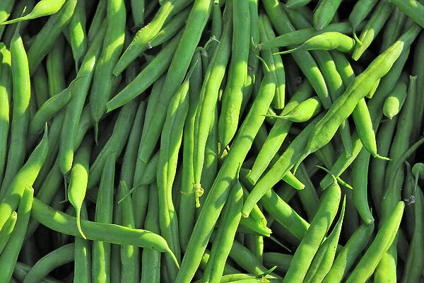 Green beans at farmer's market Winnipeg, Manitoba, Canada