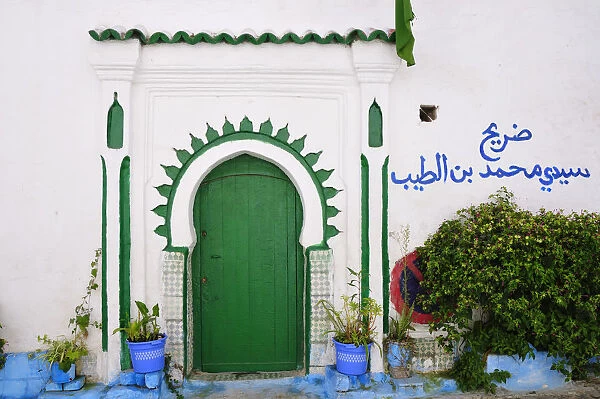 Green door and flowers of the Tanger medina. Morocco