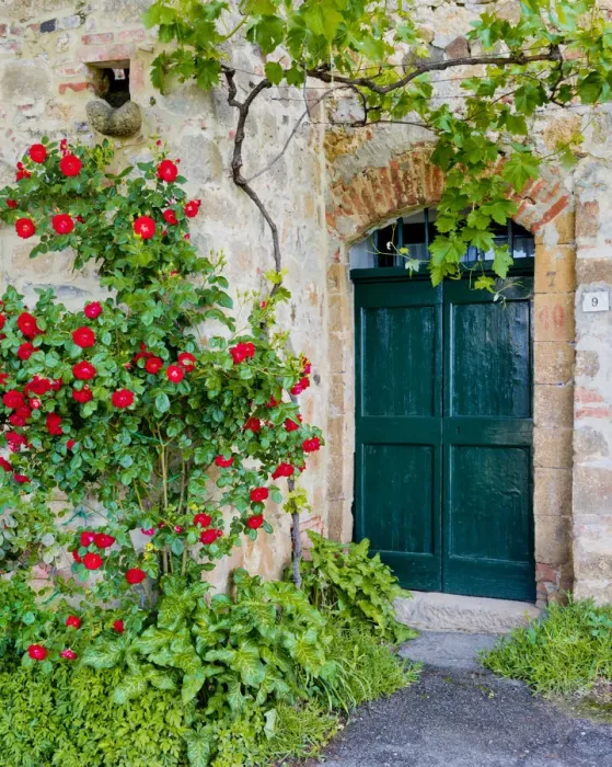 Framed Print : Green Door & Roses, Monticchiello, Tuscany, Italy Framed Print : Green Door & Roses, Monticchiello, Tuscany, Italy
