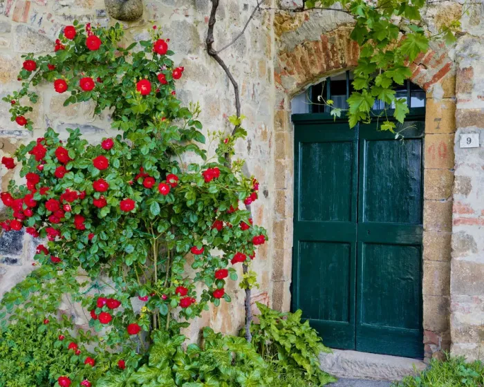 Framed Print : Green Door & Roses, Monticchiello, Tuscany, Italy Framed Print : Green Door & Roses, Monticchiello, Tuscany, Italy