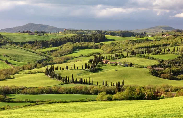 Framed Print : Green fields and cypress trees, near Lucignano d'Asso, Province of Siena, Tuscany, Italy Framed Print : Green fields and cypress trees, near Lucignano d'Asso, Province of Siena, Tuscany, Italy