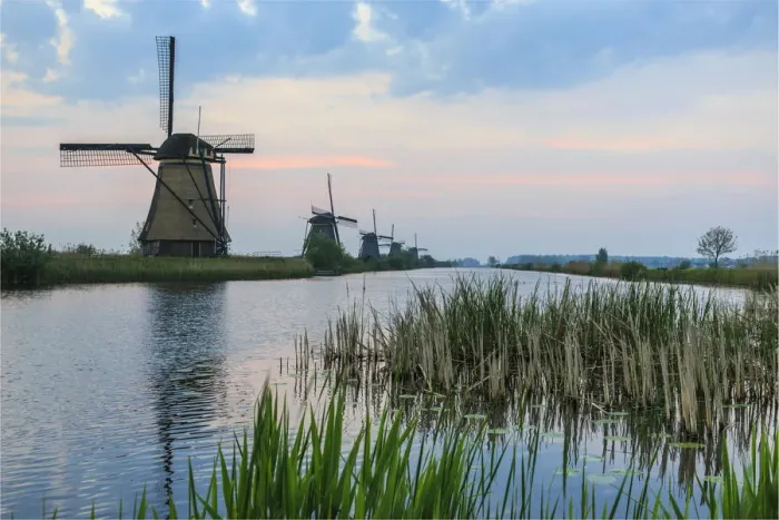 Framed Print : Green grass frames the windmills reflected in the canal at dawn Kinderdijk Rotterdam Framed Print : Green grass frames the windmills reflected in the canal at dawn Kinderdijk Rotterdam
