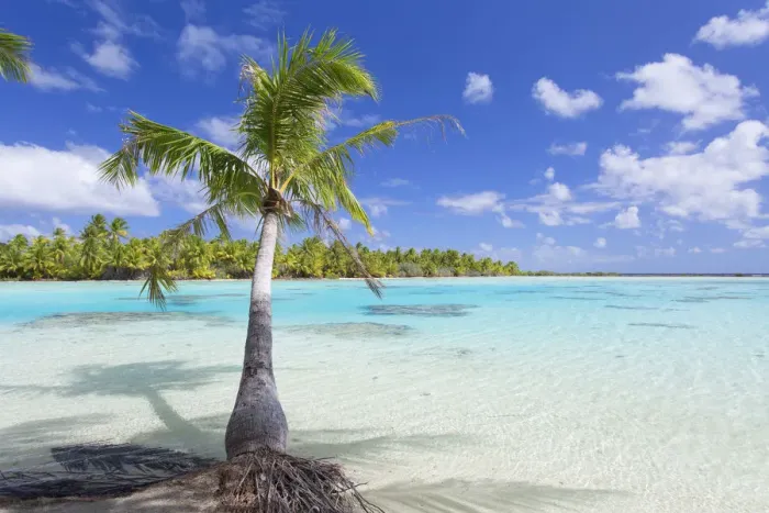 Framed Print : Green Lagoon, Fakarava, Tuamotu Islands, French Polynesia Framed Print : Green Lagoon, Fakarava, Tuamotu Islands, French Polynesia
