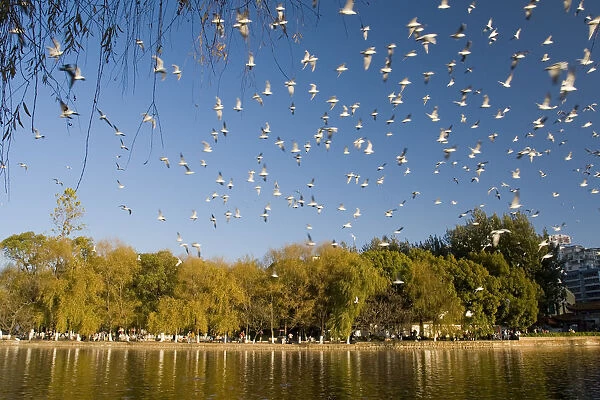 Green Lake Park ( Cuihu Gongyuan), Kunming, Yunnan Province, China