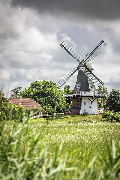 Green Mill, Greetsiel, East Frisia, Lower Saxony, Germany