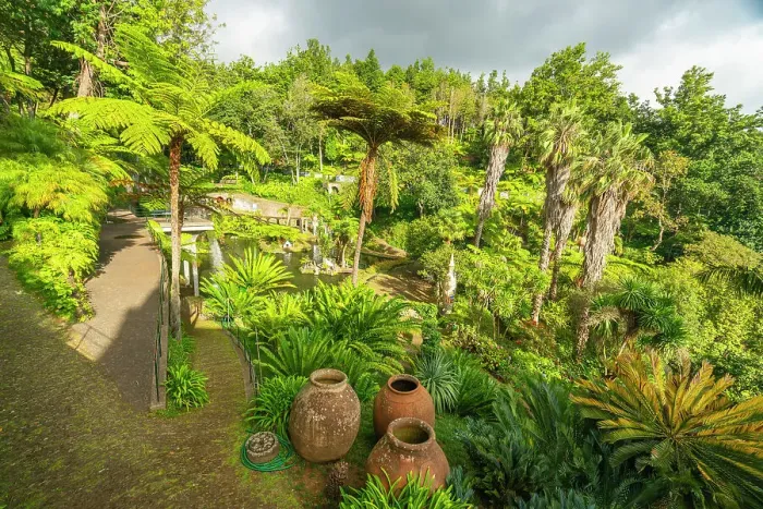 Framed Print : Green plants and trees at Monte Palace Tropical Garden, Funchal, Madeira, Portugal Framed Print : Green plants and trees at Monte Palace Tropical Garden, Funchal, Madeira, Portugal