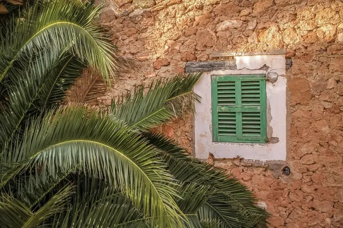Framed Print : Green window and palm tree in the mountain village of Deia in the Serra de Tramuntana, Mallorca, Balearic Islands, Spain Framed Print : Green window and palm tree in the mountain village of Deia in the Serra de Tramuntana, Mallorca, Balearic Islands, Spain