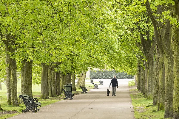 Greenwich Park, London, England, UK