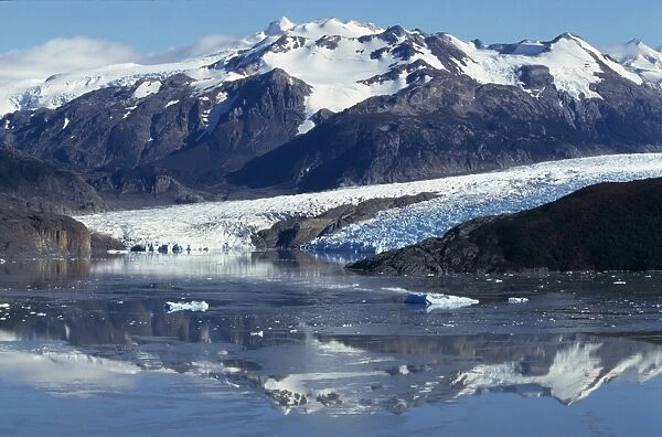 Grey Glacier & Lago Grey