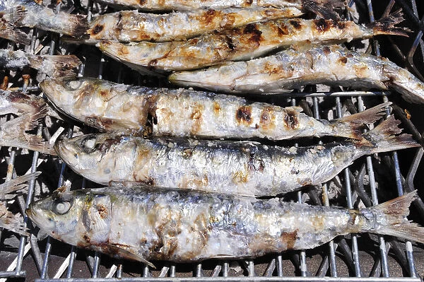 Grilled sardines, one of the delights of Setubal. Portugal