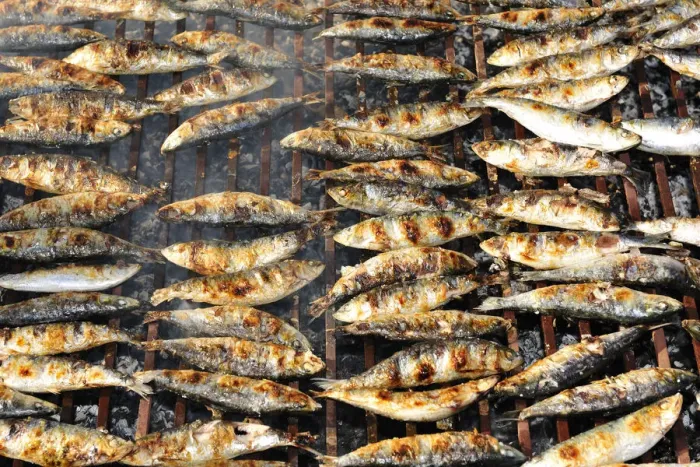 Framed Print : Grilled sardines. Winter Festivities. Grijo de Parada, Tras-os-Montes, Portugal Framed Print : Grilled sardines. Winter Festivities. Grijo de Parada, Tras-os-Montes, Portugal