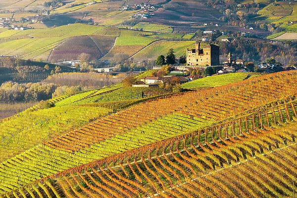 Grinzane Cavour and coloured vineyards at sunrise during autumn, Cuneo, Langhe and Roero, Piedmont, Italy, Southern Europe
