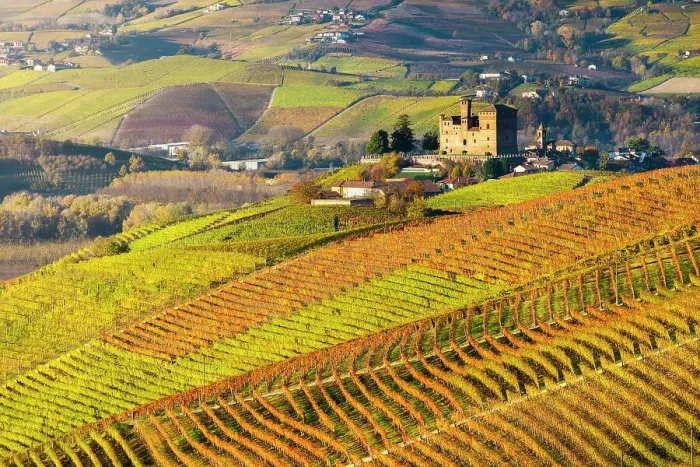 Framed Print : Grinzane Cavour and coloured vineyards at sunrise during autumn, Cuneo, Langhe and Roero, Piedmont, Italy, Southern Europe Framed Print : Grinzane Cavour and coloured vineyards at sunrise during autumn, Cuneo, Langhe and Roero, Piedmont, Italy, Southern Europe
