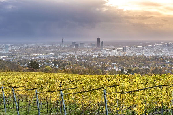 Grinzing, Vienna, Austria, Europe. View at sunrise from the vineyards around Grinzing