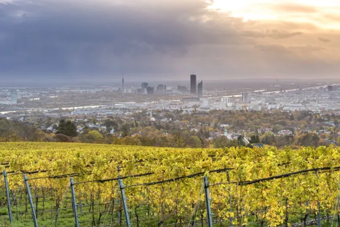 Framed Print : Grinzing, Vienna, Austria, Europe. View at sunrise from the vineyards around Grinzing Framed Print : Grinzing, Vienna, Austria, Europe. View at sunrise from the vineyards around Grinzing
