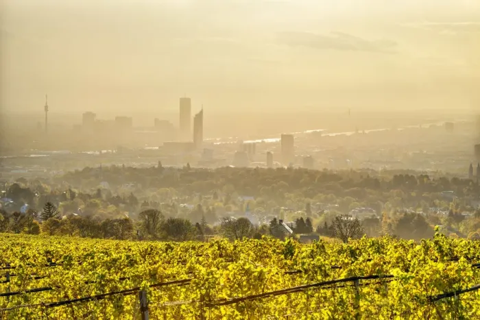 Framed Print : Grinzing, Vienna, Austria, Europe. View at sunrise from the vineyards around Grinzing Framed Print : Grinzing, Vienna, Austria, Europe. View at sunrise from the vineyards around Grinzing