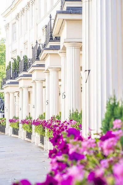 Grosvenor Crescent, Belgravia, London, England, UK
