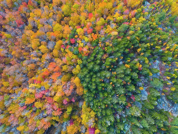 Groton State Park, Vermont, USA