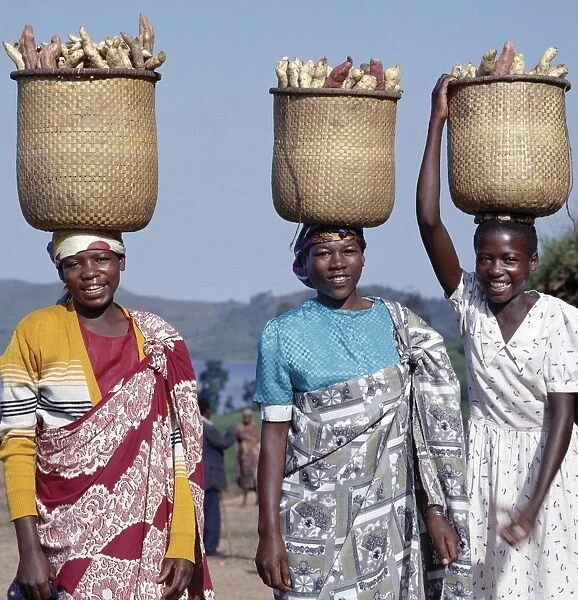 A group of cheerful women carry sweet potatoes to market