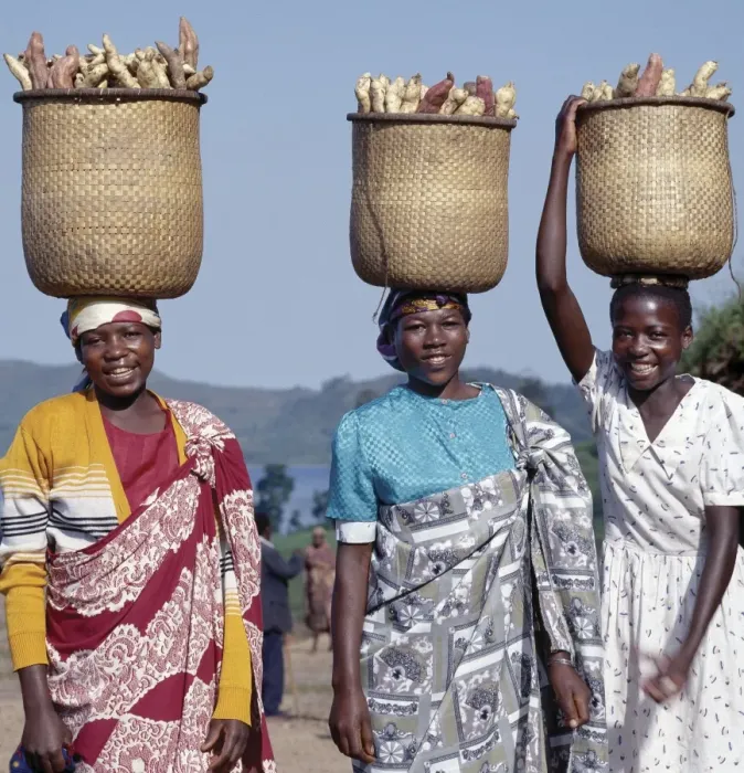 Framed Print : A group of cheerful women carry sweet potatoes to market Framed Print : A group of cheerful women carry sweet potatoes to market