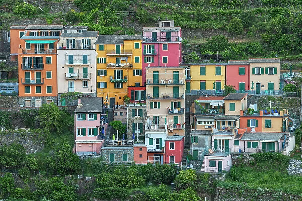 A group of colorful houses standing out on the hills above Manarola, one of the Cinque Terre, at dusk. Cinque Terre, Italy