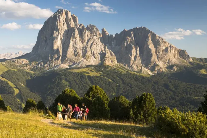 Framed Print : a group of hikers is walking in Val Gardena with the Langkofel and Plattkofel in Framed Print : a group of hikers is walking in Val Gardena with the Langkofel and Plattkofel in