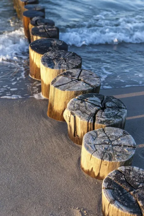 Framed Print : Groynes on the beach of Zingst, Mecklenburg-Western Pomerania, Northern Germany, Germany