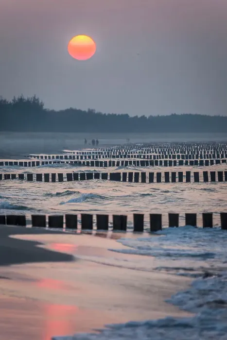 Framed Print : Groynes on the beach of Zingst at sunset, Mecklenburg-Western Pomerania, Baltic Sea, Northern Germany, Germany Framed Print : Groynes on the beach of Zingst at sunset, Mecklenburg-Western Pomerania, Baltic Sea, Northern Germany, Germany