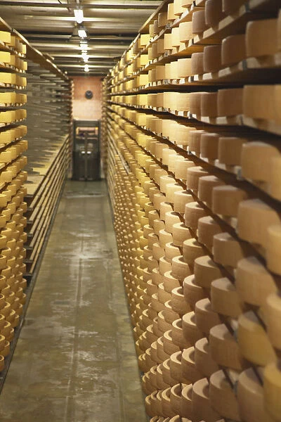 Gruyere cheese in cellar at La Maison du Gruyere, Gruyeres, Fribourg, Switzerland
