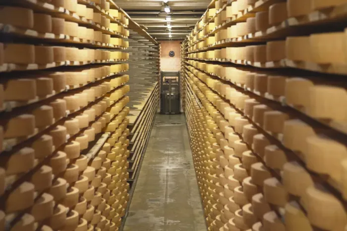 Framed Print : Gruyere cheese in cellar at La Maison du Gruyere, Gruyeres, Fribourg, Switzerland