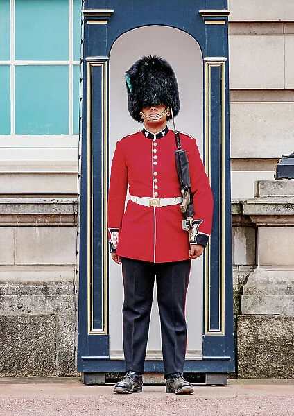 Guard at the Buckingham Palace, London, England, United Kingdom