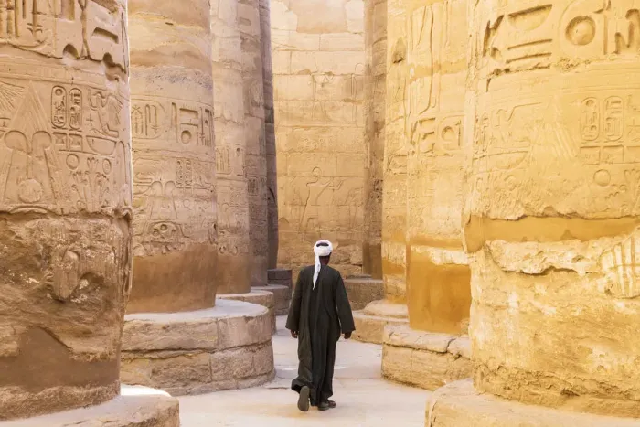 Framed Print : Guardian at the Karnak Temple, Luxor, Egypt, Africa