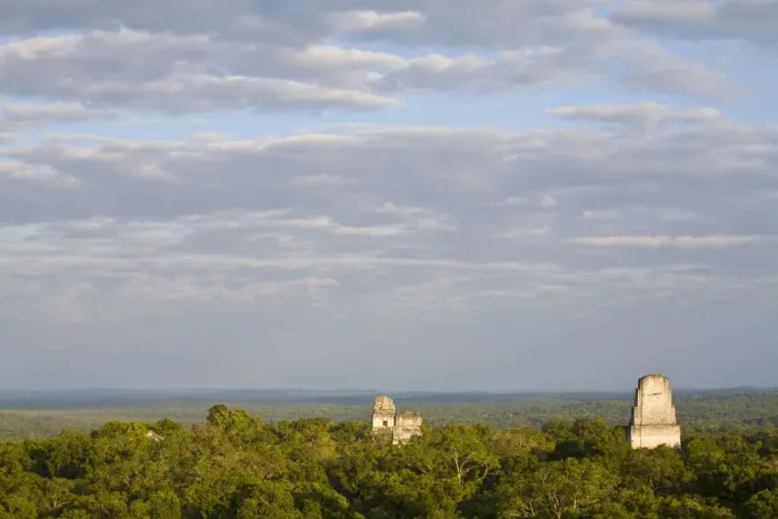 Framed Print : Guatemala, El Peten, Tikal, View from Temple 1V Framed Print : Guatemala, El Peten, Tikal, View from Temple 1V