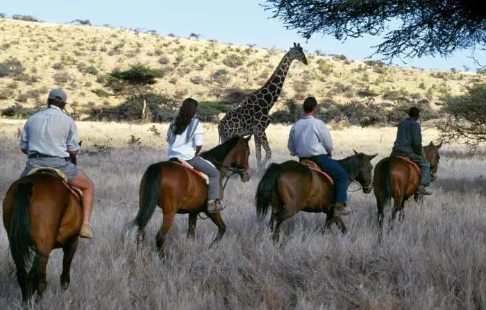 Framed Print : Guests view game from horseback at Wilderness Trails, Lewa Downs Framed Print : Guests view game from horseback at Wilderness Trails, Lewa Downs
