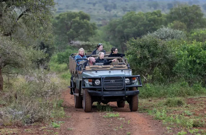 Framed Print : Guide taking tourists on a game drive, Zimanga Private Game Reserve, Natal, South Africa Framed Print : Guide taking tourists on a game drive, Zimanga Private Game Reserve, Natal, South Africa