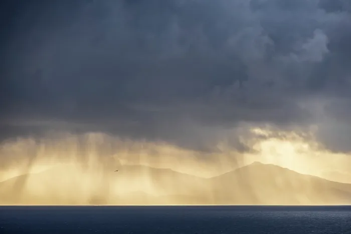 Framed Print : Gull flying through storm clouds towards the mountains of North Uist, Outer Hebrides, Scotland. Winter (February) 2025 Framed Print : Gull flying through storm clouds towards the mountains of North Uist, Outer Hebrides, Scotland. Winter (February) 2025