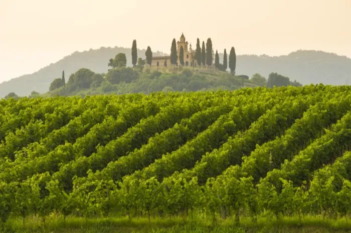 Framed Print : Gussago, Franciacorta, Lombardy, Italy. Vineyards Framed Print : Gussago, Franciacorta, Lombardy, Italy. Vineyards