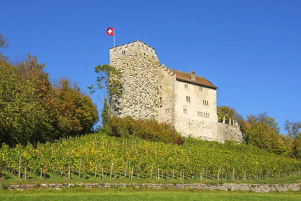 The Habsburg, ancestral seat of the Habsburg dynasty, Habsburg, Aargau, Switzerland