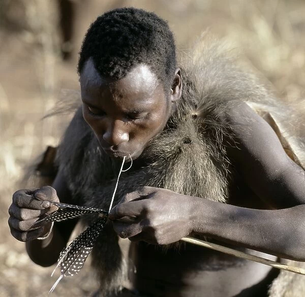 A Hadza hunter fledges an arrow shaft