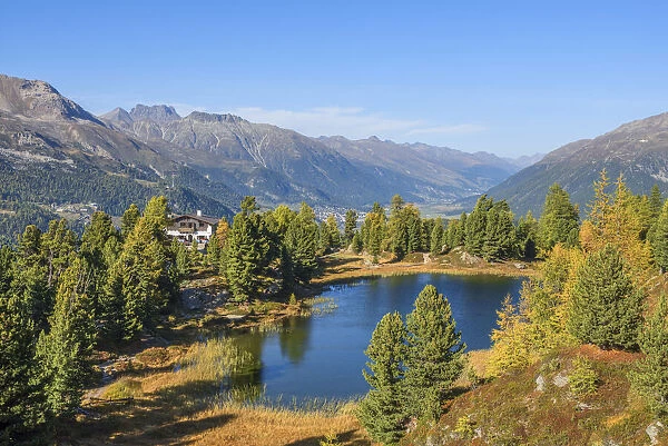 Hahnensee at Fall, Silvaplana, Bernina mountain range, Upper Engadin, Grisons (Graubunden), Switzerland